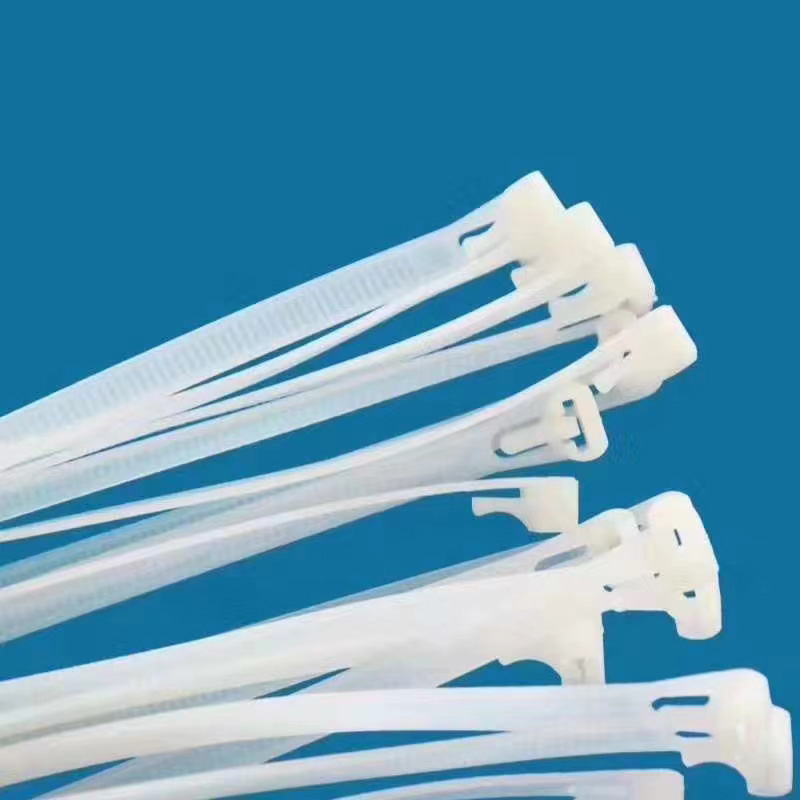 尼龍?jiān)鷰? />
                                                        </div>
                                                        <div   id=