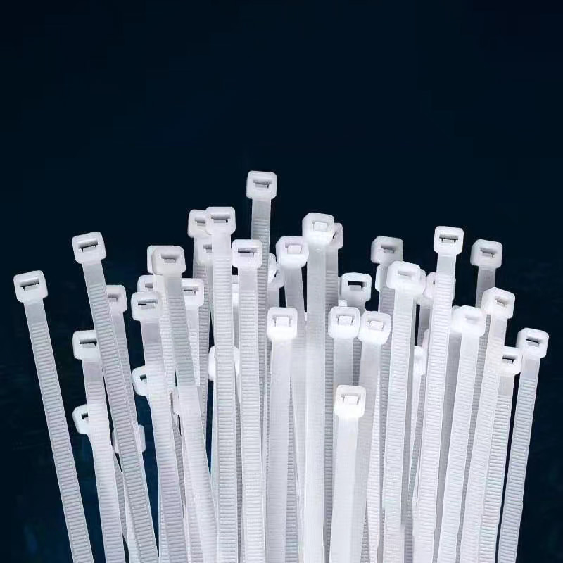 尼龍?jiān)鷰? />
                                                        </div>
                                                        <div   id=